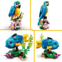 LEGO Creator 3-en-1 31136 Le Perroquet Exotique. Figurines Animaux de la 35,99 €