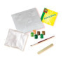 Moulage et peinture - oeufs de dinos 21,99 €