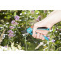 GARDENA Sécateur réglable a lame franche Classic B/ S Ø20mm max Lame 23,99 €
