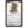 QUIZ STAR WARS - Jeu de plateau - WINNING MOVES 22,99 €