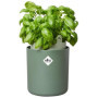 Pot De Fleurs Rond BOUNCY BASIL - Plastique - Ø16 - Leaf Green 39,99 €