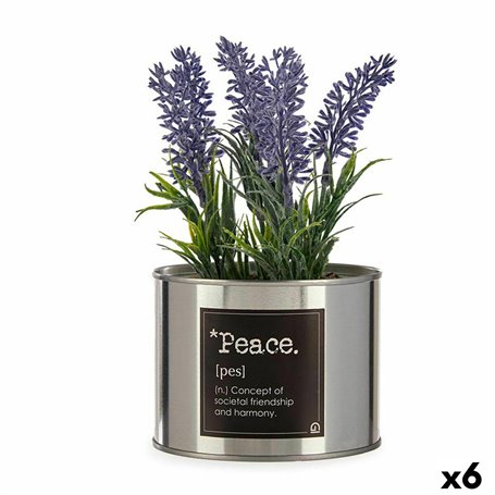 Plante décorative Plastique Lavande Cannette 6 Unités 68,99 €