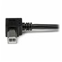 Câble USB A vers USB B Startech USBAB2MR Noir 16,99 €