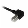 Câble USB A vers USB B Startech USBAB3ML       Noir 17,99 €