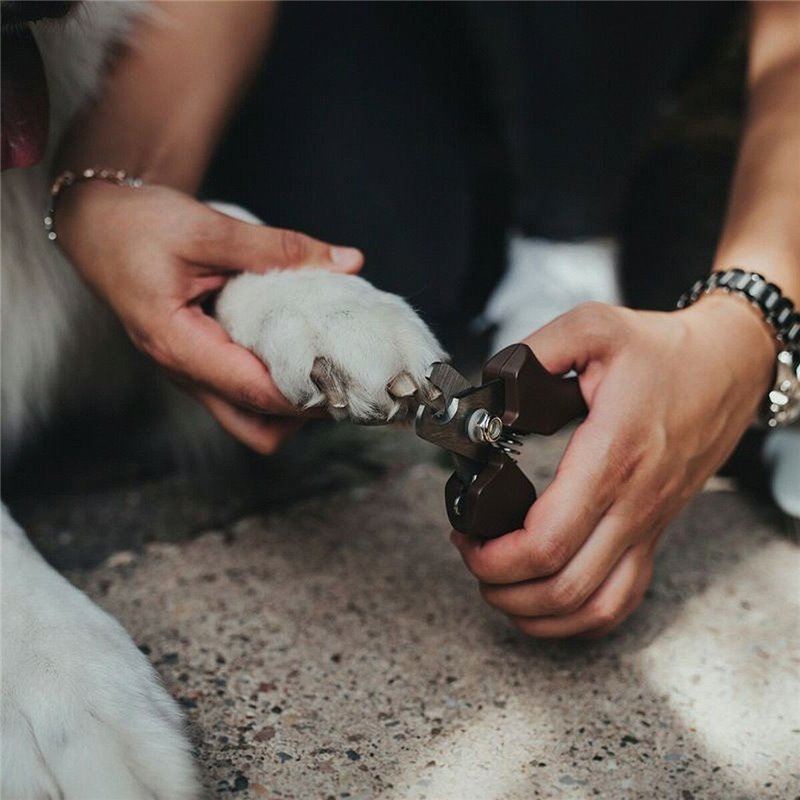 Image secondaire de Ciseaux à ongles Hunter Taille L