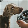 Mangeoire pour chiens Hunter Mélamine 550 ml 28,99 €