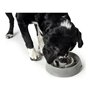 Mangeoire pour chiens Hunter Mélamine 550 ml 28,99 €