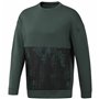 Sweat sans capuche homme Reebok Vert 62,99 €