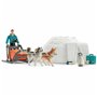 Set Animaux Sauvages Schleich Antarctic Expedition 58,99 €