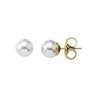 Boucles d´oreilles Femme Majorica 00322.01.1.000.701.1 70,99 €