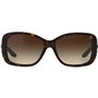 Lunettes de soleil Femme Ralph Lauren RL 8127B 169,99 €