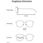 Lunettes de soleil Femme Rodenstock R3316 189,99 €