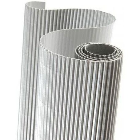 Carton ondulé Canson Argent 50 x 70 cm (10 Unités) 38,99 €