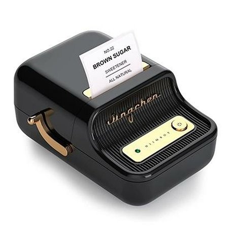 Imprimante Thermique NIIMBOT B21 Noir 203 dpi 99,99 €