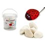 Lot de pierres Travaux manuels 3 Kg (4 Unités)