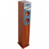 INOVALLEY HP34-CD-WOOD Tour de son Lecteur CD - Bluetooth 179,99 €