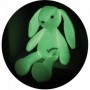Animal de Compagnie Interactif Jemini LIMINOU (FR)