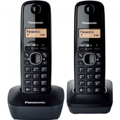 Téléphone Panasonic KX-TG1612