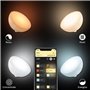 Philips Hue Go Lampe portable connectée White and Color Compatible Blu