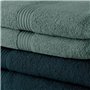 Lot de 10 serviettes de Toilette TODAY 50x90 cm 100% Coton - 5 paon +