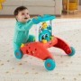 Tricycle Fisher Price Evolutionary Activity