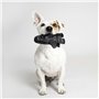 Jouet pour chien Star Wars Noir 22 x 7 x 24 cm