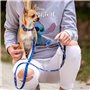 Collier pour Chien Stitch Bleu foncé S/M