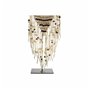 Figurine Décorative DKD Home Decor Collier Fer Coquillages (23,5 x 15 