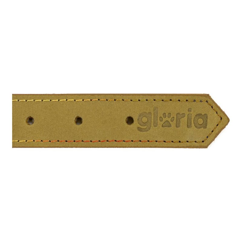 Image secondaire de Collier pour Chien Gloria Oasis Vert (35 x 1,2 cm)