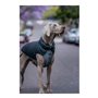 Manteau pour Chien Red Dingo Puffer Noir/Gris 60 cm