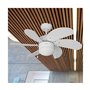Ventilateur de Plafond avec Lumière EDM Aral Blanc A 50 W