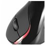 Souris Optique Ergonomique Ewent EW3156 1000 dpi USB Noir Rouge/Noir
