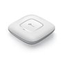 Point d'Accès TP-Link NSWPAC0289