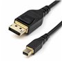Câble Mini DisplayPort vers DisplayPort Startech DP14MDPMM2MB