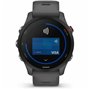 Bracelet d'activités GARMIN Forerunner 255 Noir Gris 1,3"