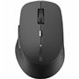 Souris sans-fil Rapoo 00184341 Gris foncé Vert