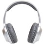 Casque Panasonic RBHX220BDES Argenté