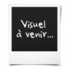MASTER LOCK Mini-coffre de rangement portable pour voyage 98880 43,99 €