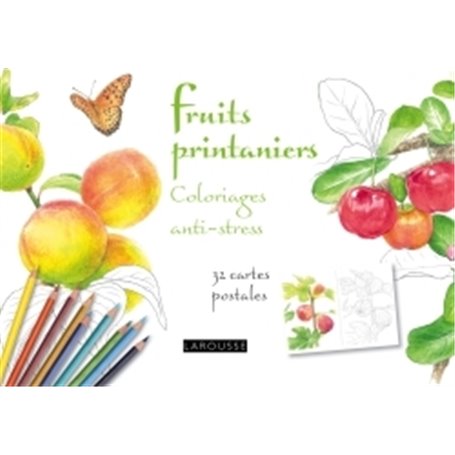 Fruits printaniers coloriages anti-stress 32 cartes postales
