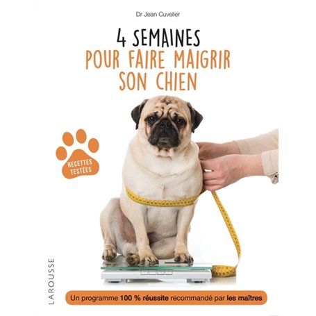 4 semaines pour faire maigrir son chien