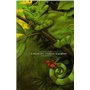 La Reine des fourmis a disparu