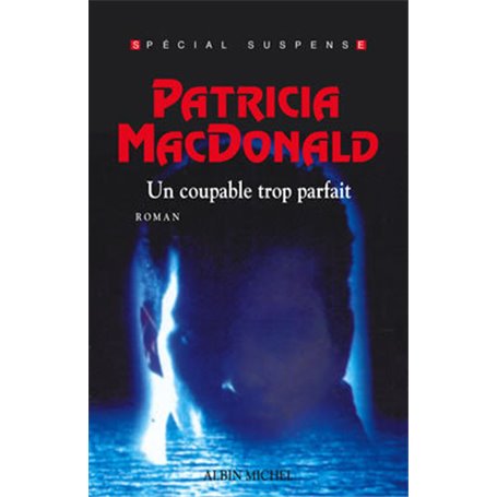 Un coupable trop parfait