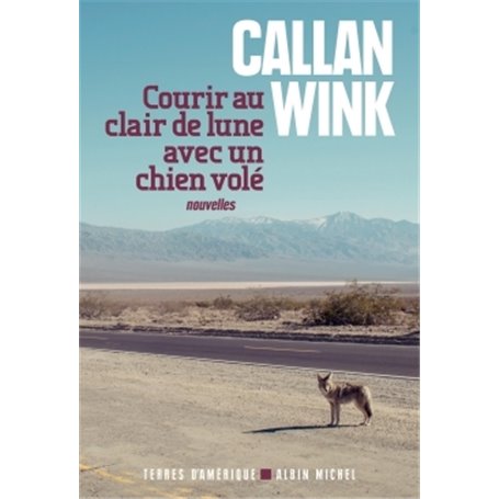 Courir au clair de lune avec un chien volé