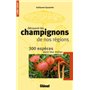 Découvrir les champignons de nos régions
