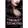Noirs démons, T6 : Le Feu sacré
