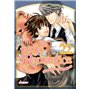 Junjo Romantica T22