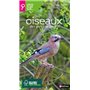 Gros plan sur les oiseaux des parcs et jardins