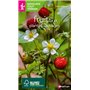 Miniguides tout-terrain : Fruits et plantes sauvages