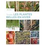Toutes les plantes belles en hiver