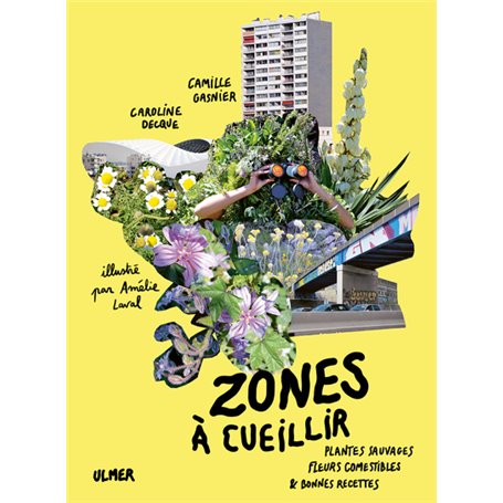 Zones à cueillir